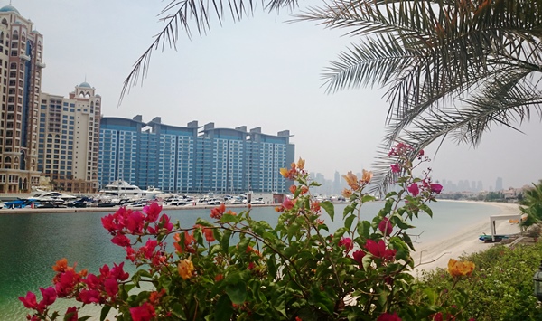 酷暑を乗り切る「病気ゼロ」のオススメ入浴法