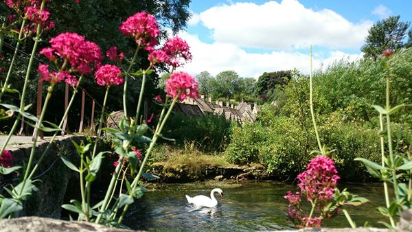 バイブリーでのベストショット！