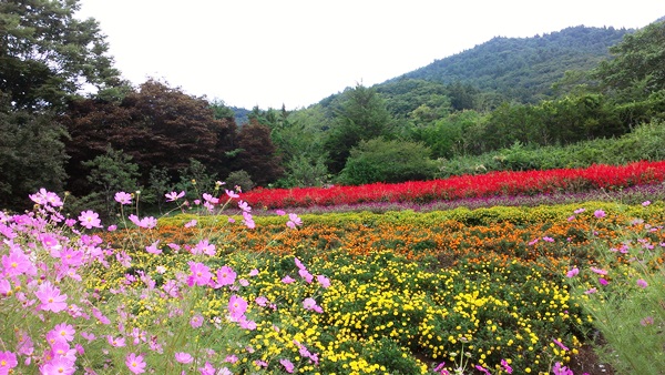 fujisusono20130912_4