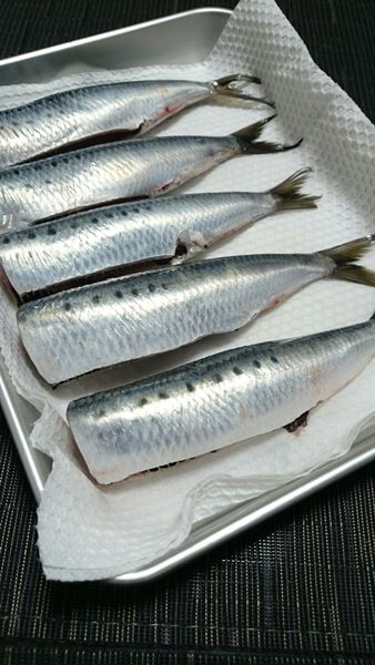 黒い斑点は鮮度抜群の証♪