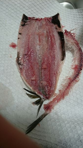 手で簡単にさばけます！