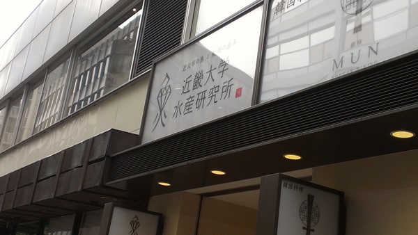 kinkimaguro20140428_1