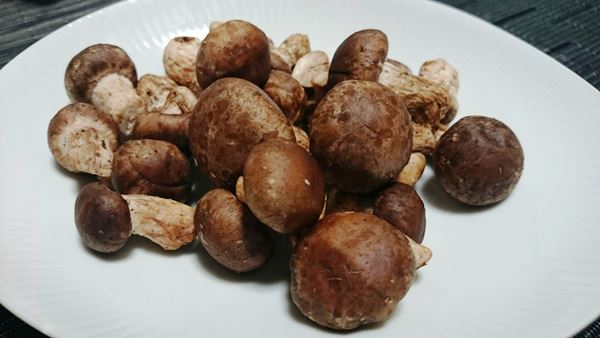 今回初めて使った旨味茸！