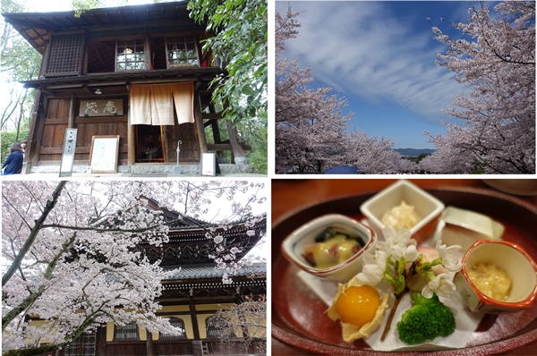 春の京都で過ごした最高に口福な時間♪