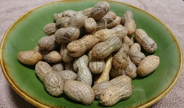 今が旬の生落花生♪