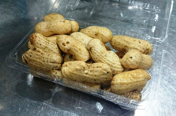 大粒の落花生♪