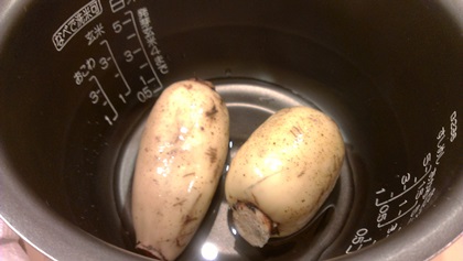 renkonsiromiso20130924_33