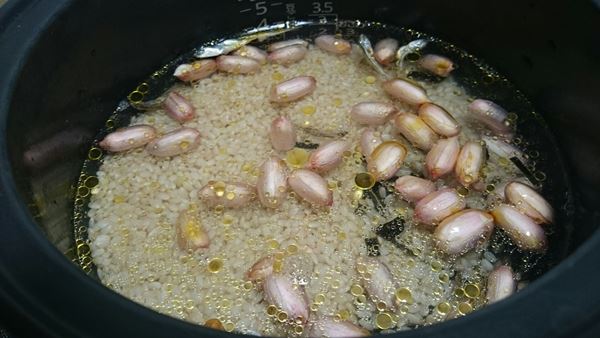 材料全部を入れたらスイッチオン！