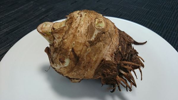 陽だまり農園の無農薬里芋！