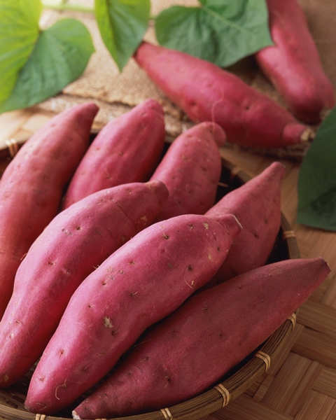 秋が旬のさつまいもさん♪