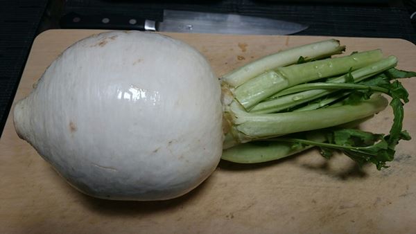 超特大サイズの聖護院かぶ♪