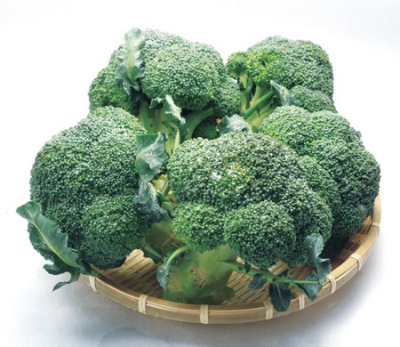 ブロッコリー♪