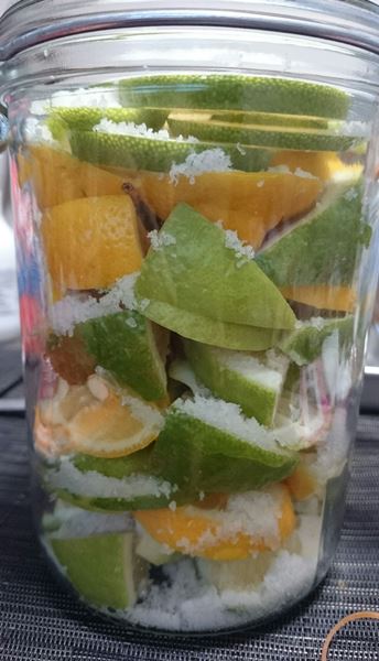 塩レモンデビュー！