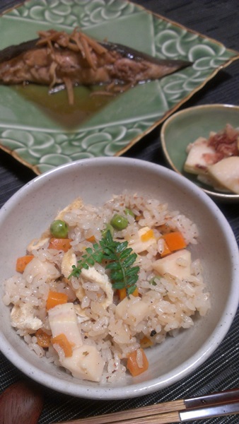 takenokogohan20140424_1